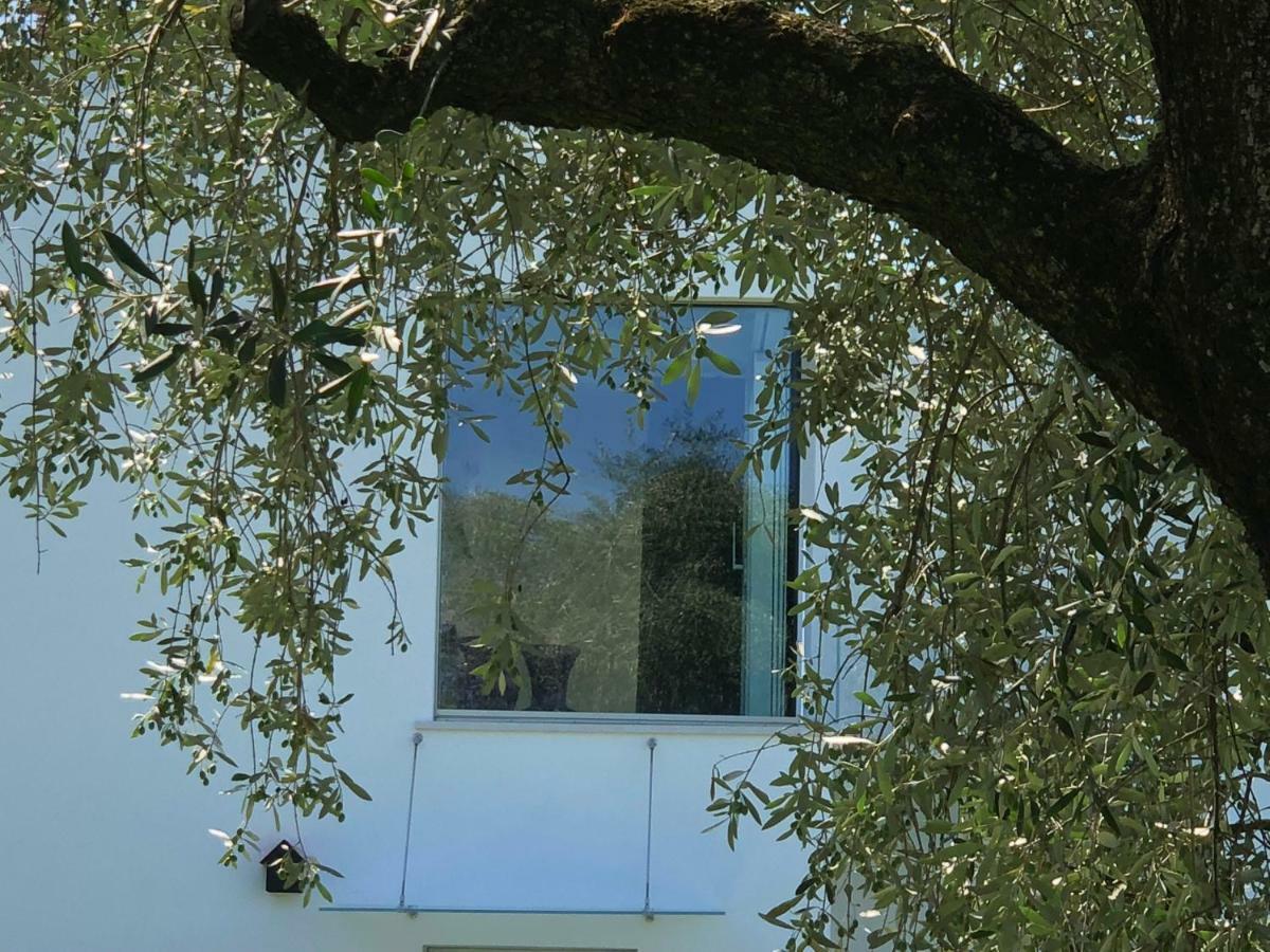 Villa Il Bacio Del Sole ヴェローナ エクステリア 写真